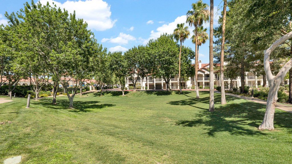 A park with green grass and trees.