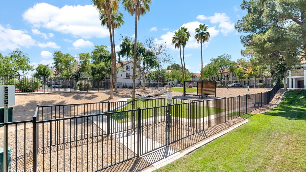 A black fence surrounds a green field with palm trees.