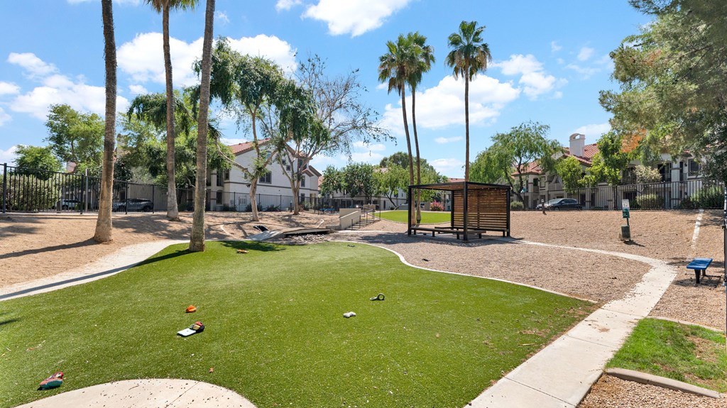 A park with a green lawn and palm trees.