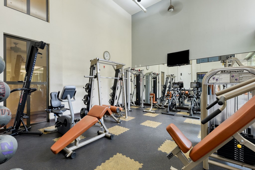 a gym with weights and cardio equipment and a tv