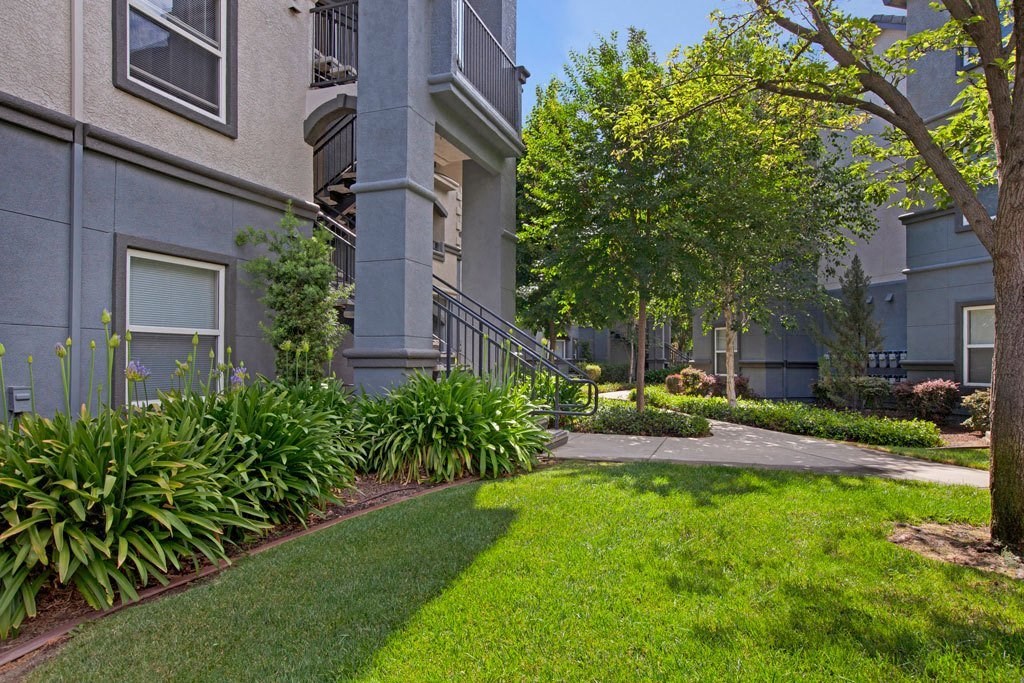 A well-maintained lawn in front of a building with a tree and a bench.