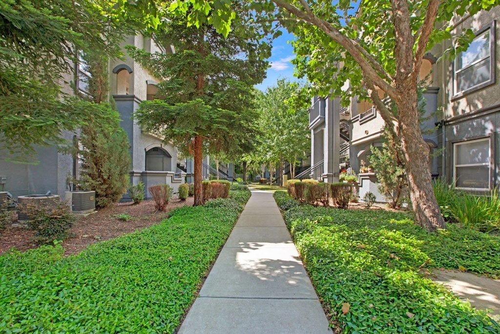 A tree-lined sidewalk in front of apartment buildings.