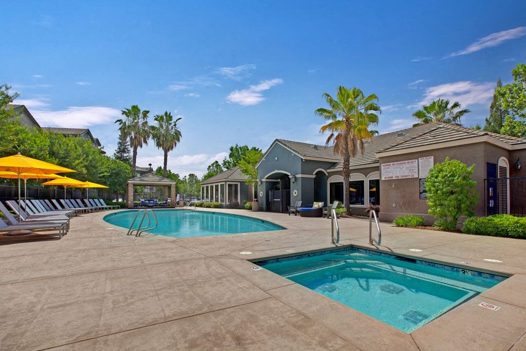 A swimming pool surrounded by palm trees and sun loungers.
