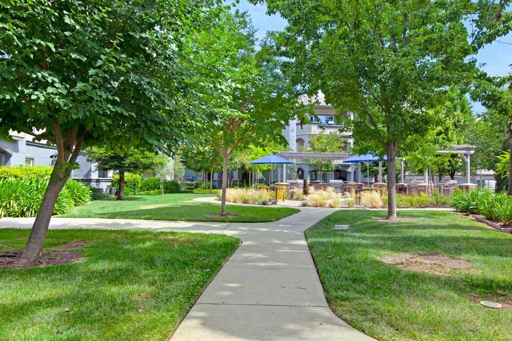 A park with a walking path and trees.