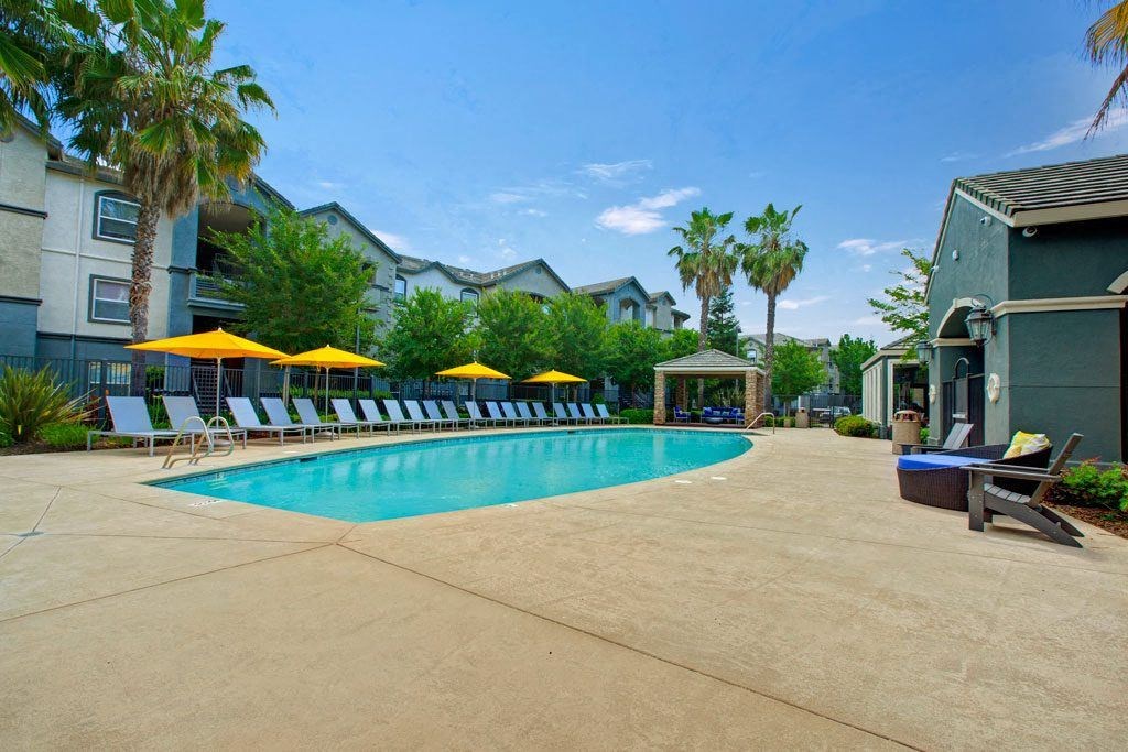 A swimming pool surrounded by palm trees and lounge chairs.