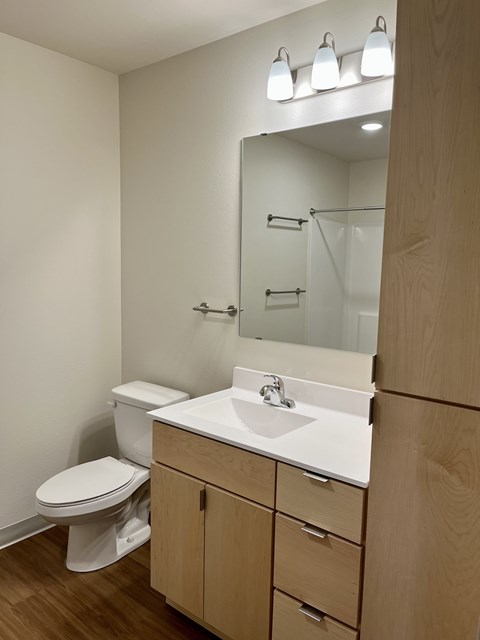 A white toilet sits next to a sink in a small bathroom.
