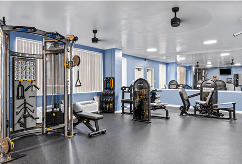 A gym with a variety of equipment including a squat rack, bench, and weights.