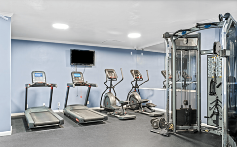 A gym with treadmills, elliptical machines, and other exercise equipment.