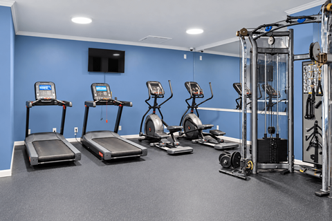 A gym with treadmills, exercise bikes, and weight machines.