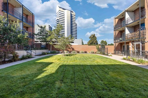 a lush green lawn in the middle of an apartment complex