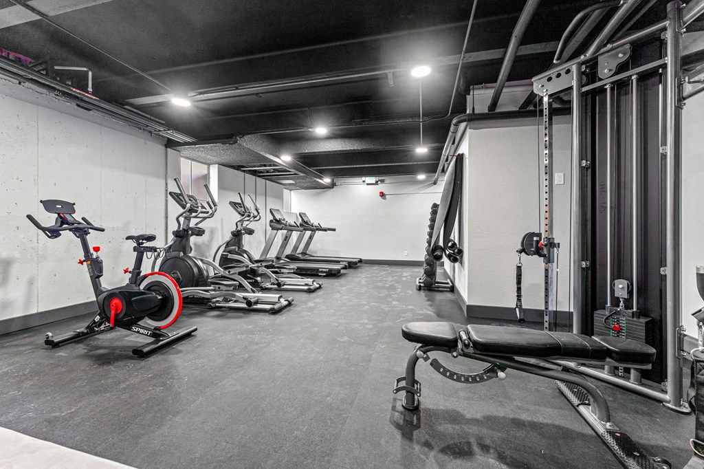 The Alpine Apartments in Denver, CO