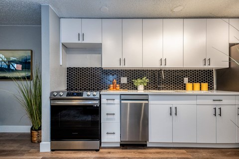 1341 Cook Apartments in Denver, CO