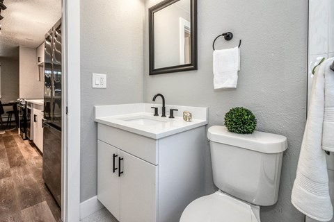 1341 Cook Apartments in Denver, CO