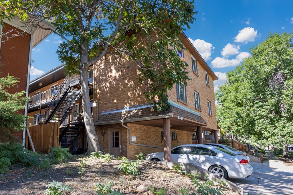 1341 Cook Apartments in Denver, CO