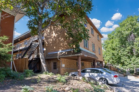 1341 Cook Apartments in Denver, CO