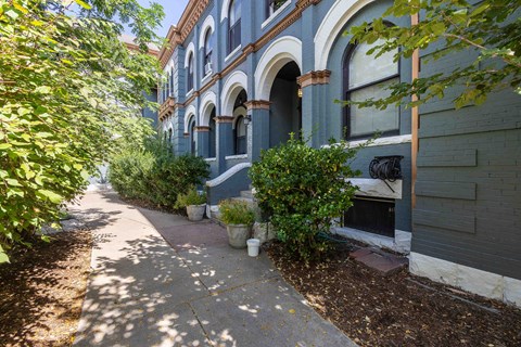 a sidewalk in front of a blue building with plants