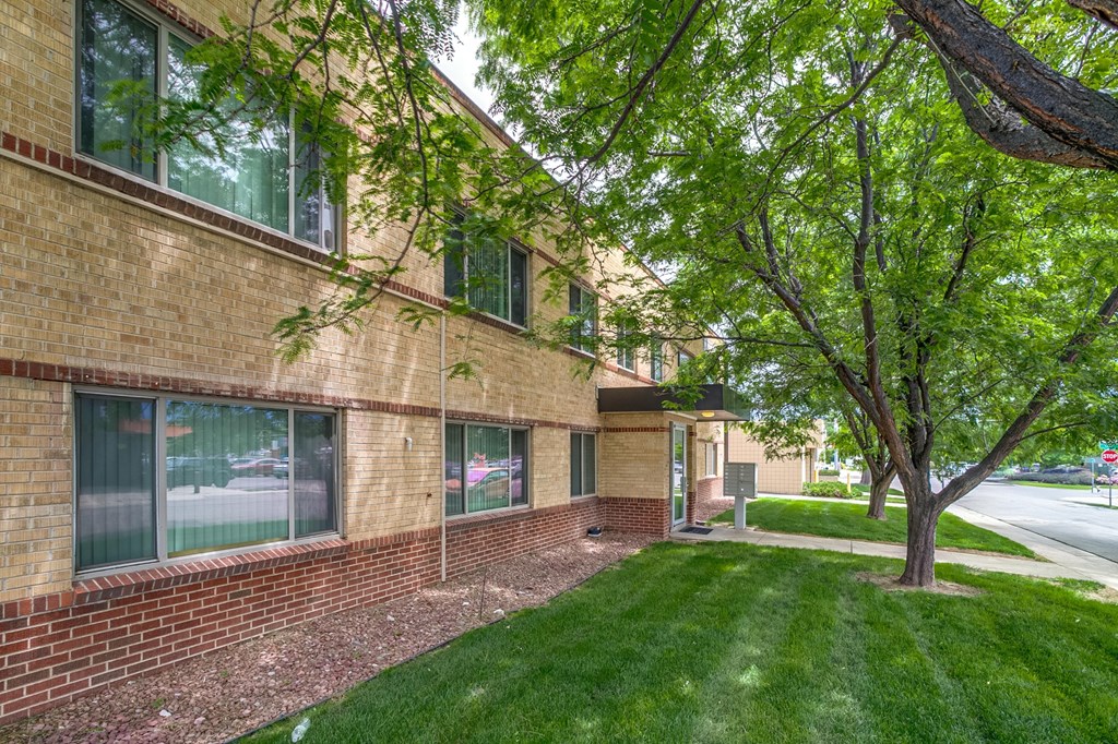 A tree is in front of a building.