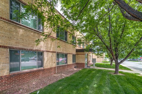 A tree is in front of a building.