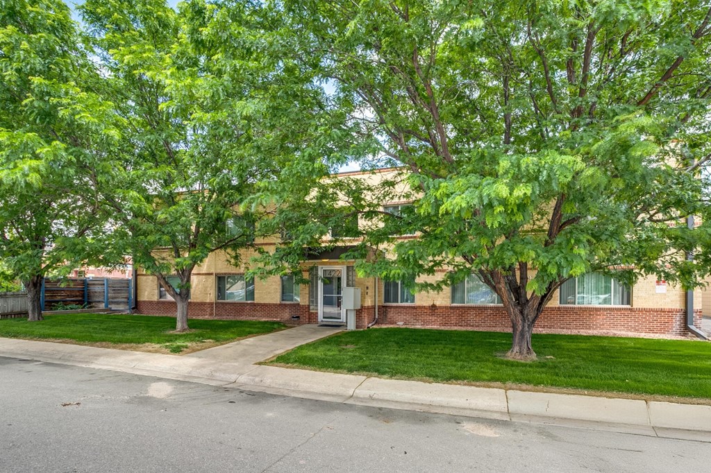 A tree with green leaves is in front of a building.