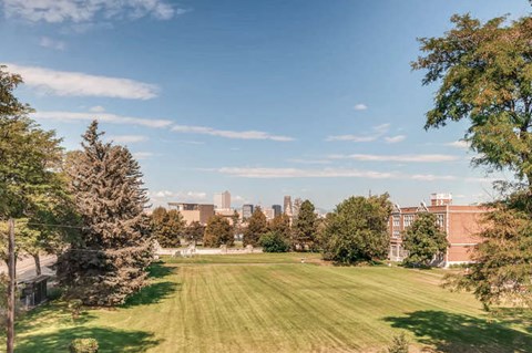 A large grassy field with trees and buildings in the distance.