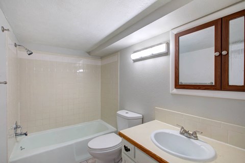 A white toilet sits next to a bathtub in a bathroom.