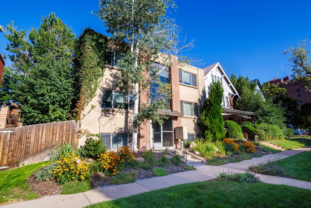 1536 Vine Apartments in Denver, CO