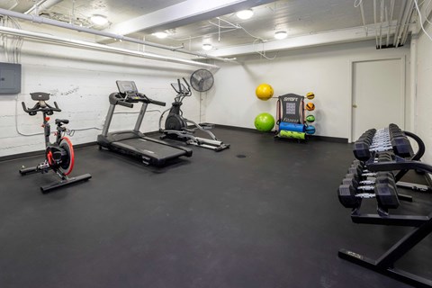 A gym with a row of treadmills, a stationary bike, and a bench with weights on it.