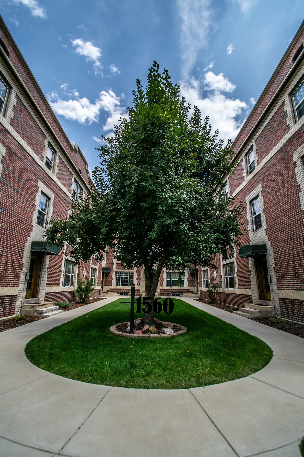 A tree in front of a building with the number 1560 on it.