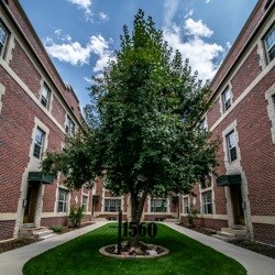 A tree in front of a building with the number 1560 on it.