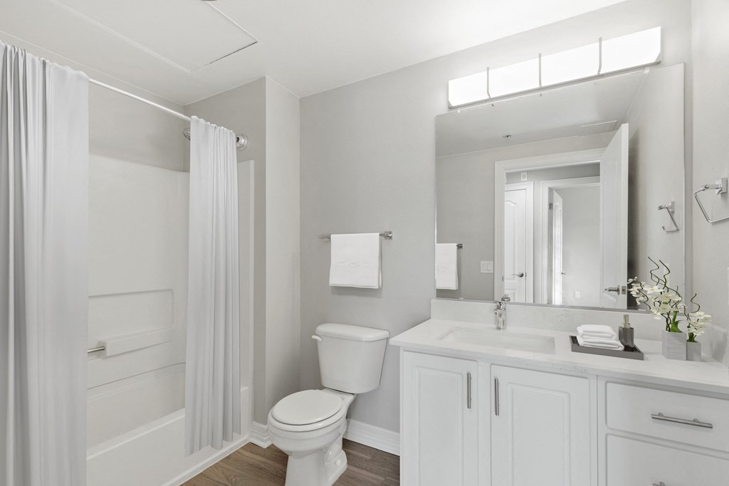 1721 Marion Apartments in Denver, CO