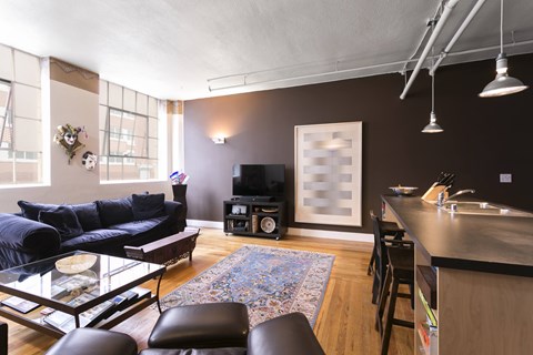 A living room with a blue couch and a television.