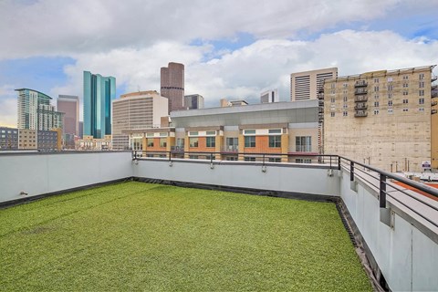 the grass on the roof of a building with the city in the background