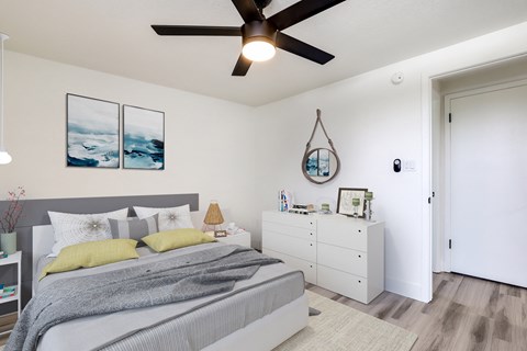 2441 S York Apartments in Denver, CO