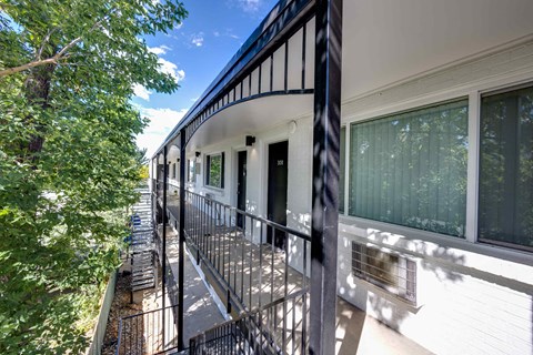 2441 S York Apartments in Denver, CO