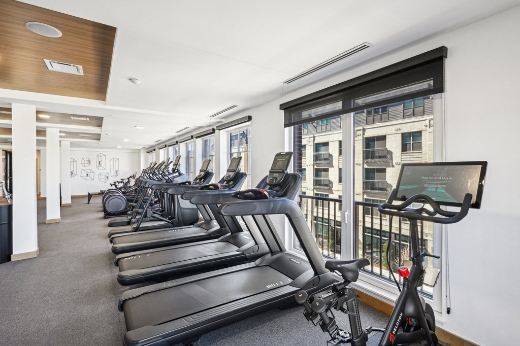 A gym with treadmills and a view of the city.
