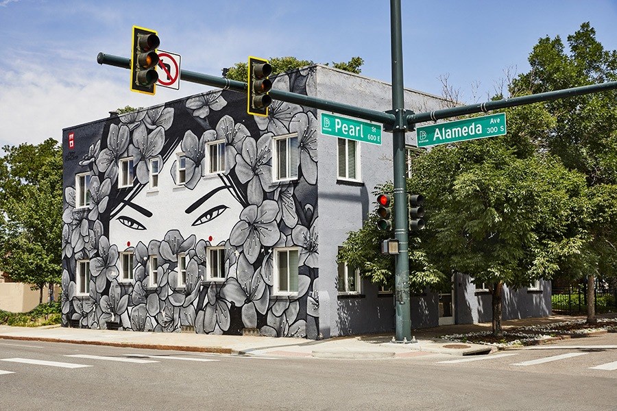 291 S Pearl Apartments in Denver, Colorado