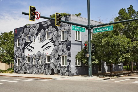 291 S Pearl Apartments in Denver, Colorado