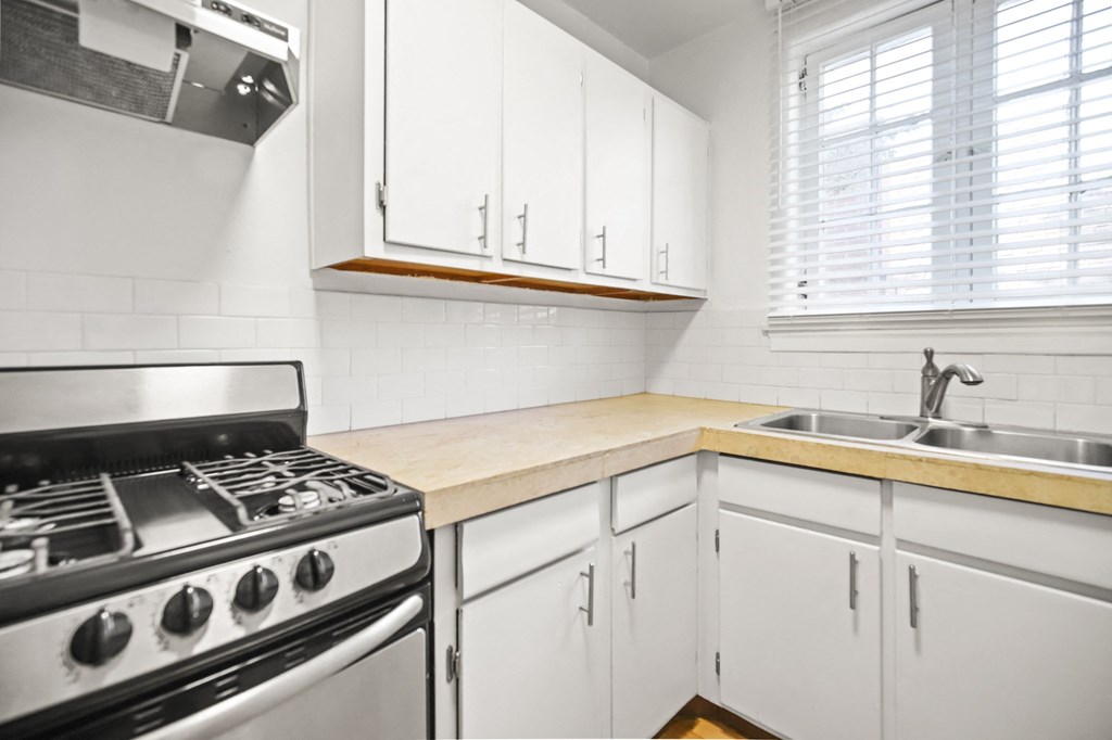 291 S Pearl Apartments in Denver, Colorado