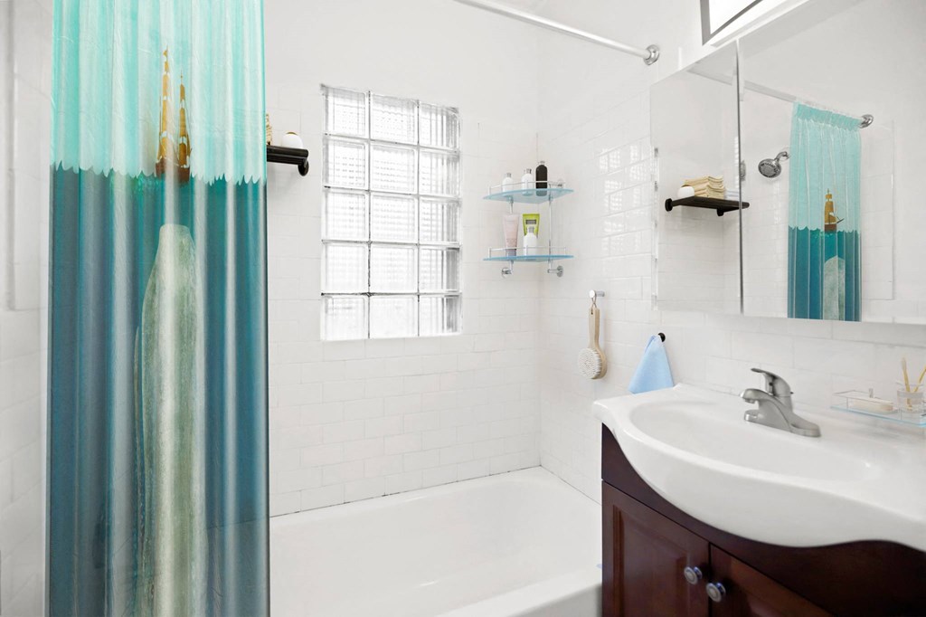 291 S Pearl Apartments in Denver, Colorado