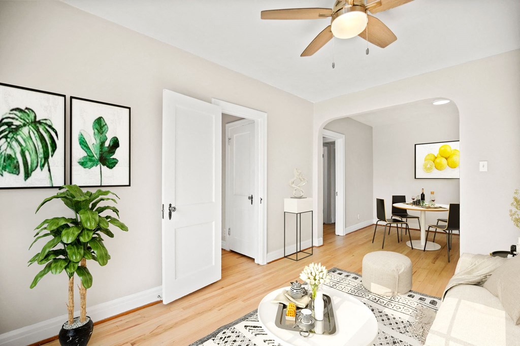 291 S Pearl Apartments in Denver, Colorado