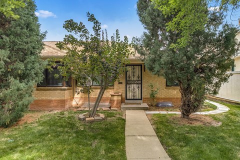 A house with a brown door and a small tree in front.