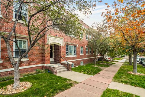 A tree with orange leaves is in front of a brick building.