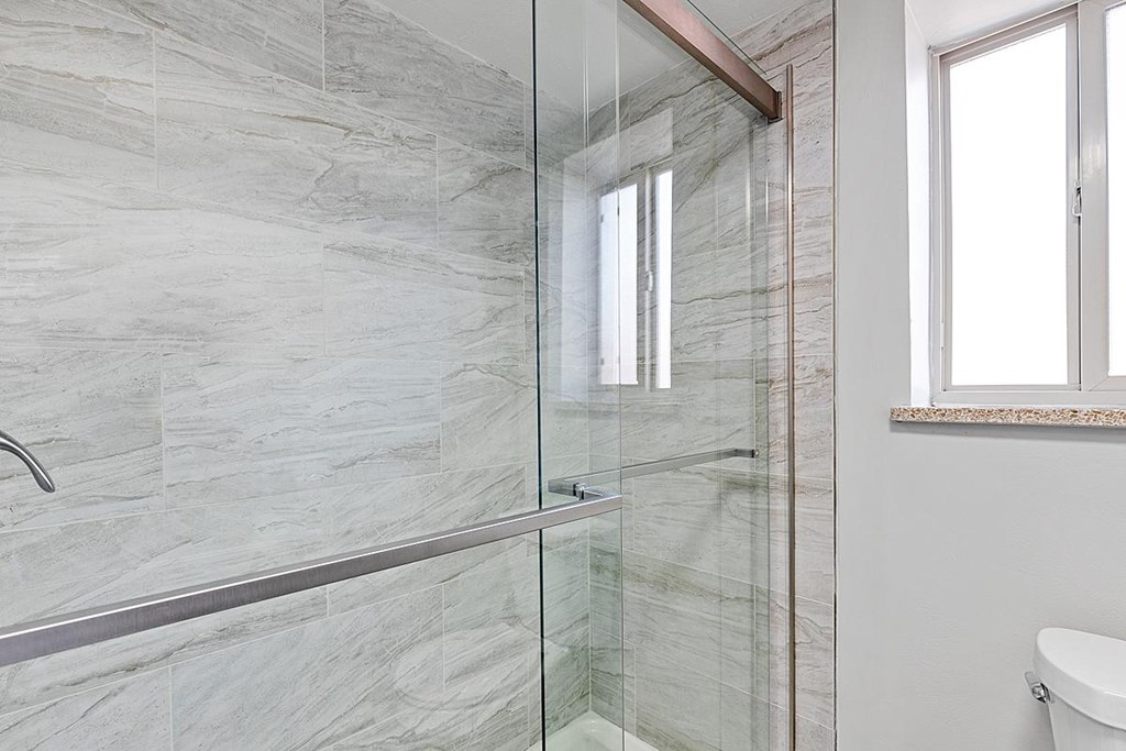 A bathroom with a walk-in shower and a toilet.