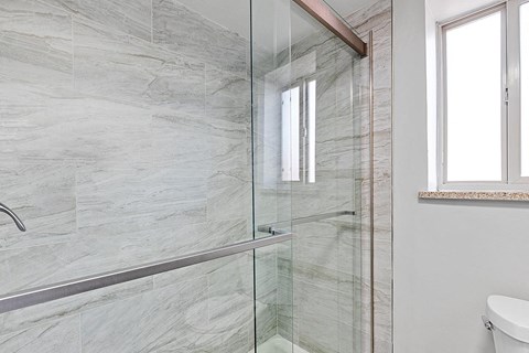 A bathroom with a walk-in shower and a toilet.