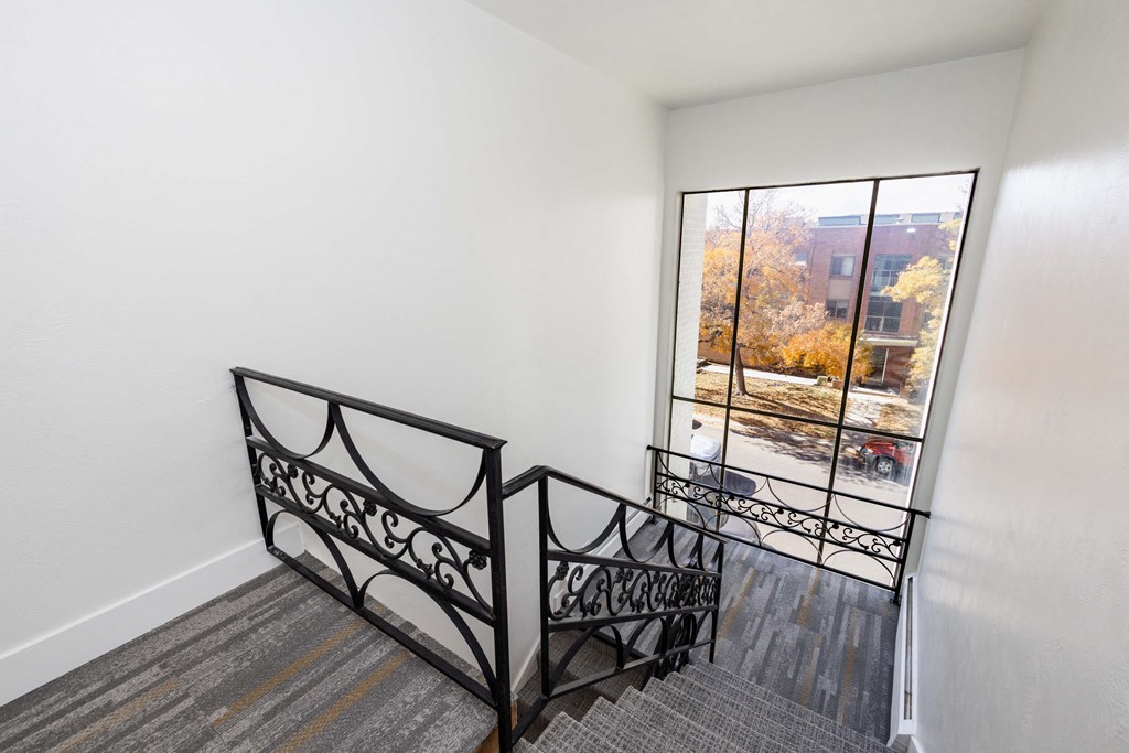 816 N Cherry Apartments in Denver, Colorado