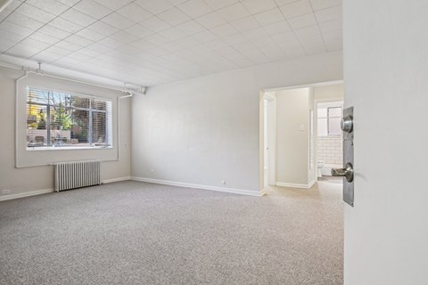 A room with a carpeted floor and a window with blinds.