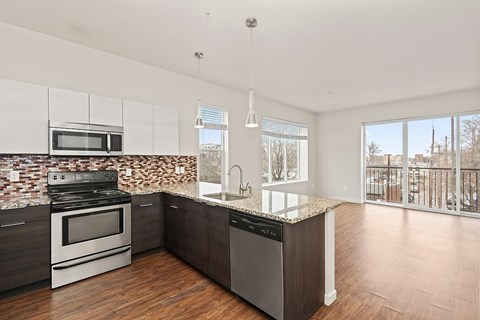 A kitchen with a stove, oven, microwave, and dishwasher.