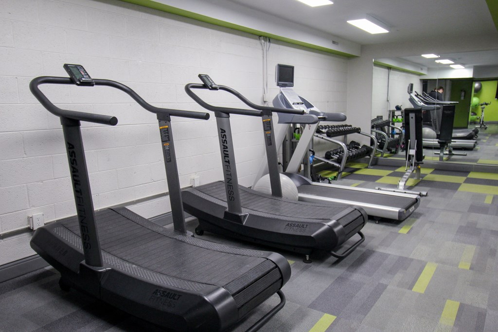 Two treadmills are in a gym with a green stripe on the wall.