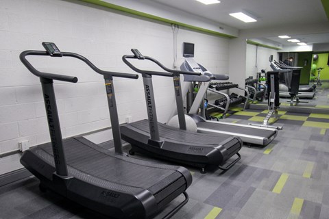 Two treadmills are in a gym with a green stripe on the wall.