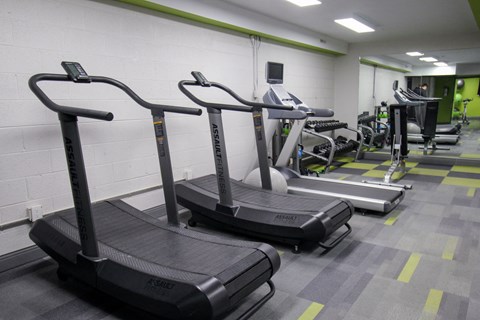 Two treadmills are in a gym with a green stripe on the wall.